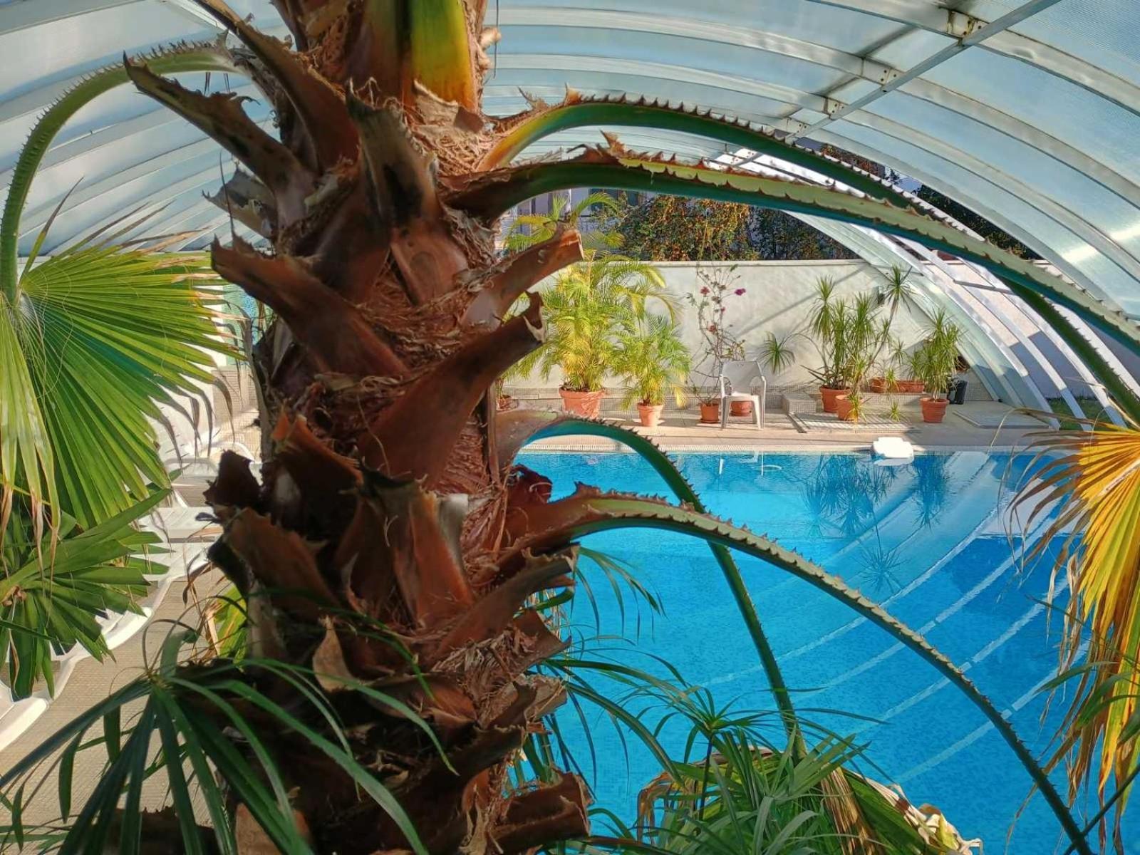 Enis Hotel С Минерален Басейн Sapareva Banya Buitenkant foto